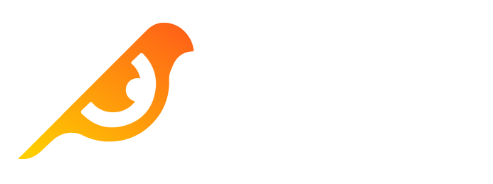 Birdeye